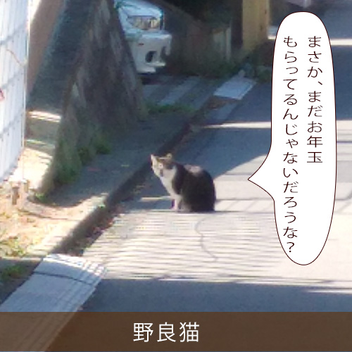 20211230_touko.jpg