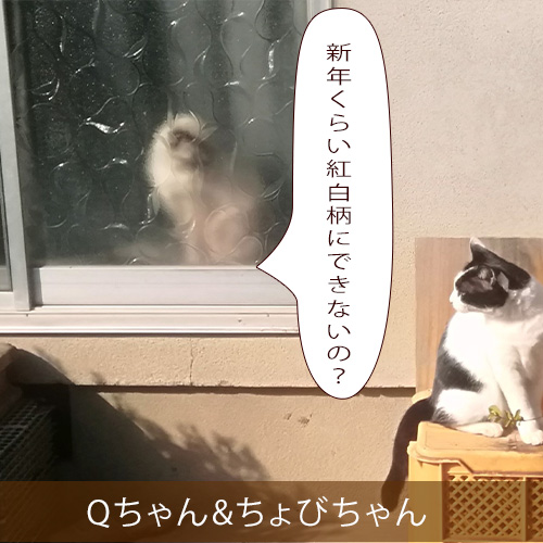 20220102_touko.jpg