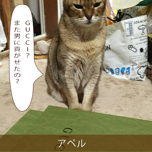 20220104_touko.jpg
