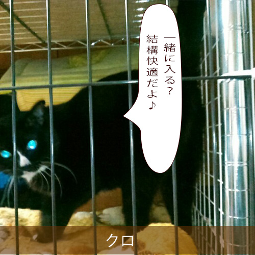 20220105_touko.jpg
