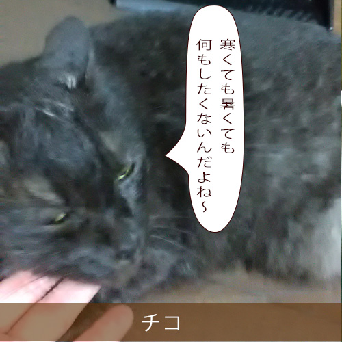 20220106_touko.jpg