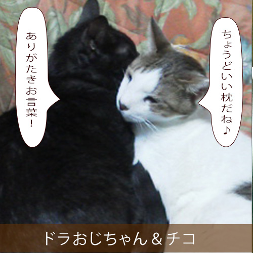 20220107_touko.jpg