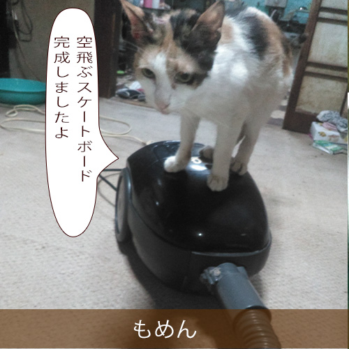 20220109_touko.jpg