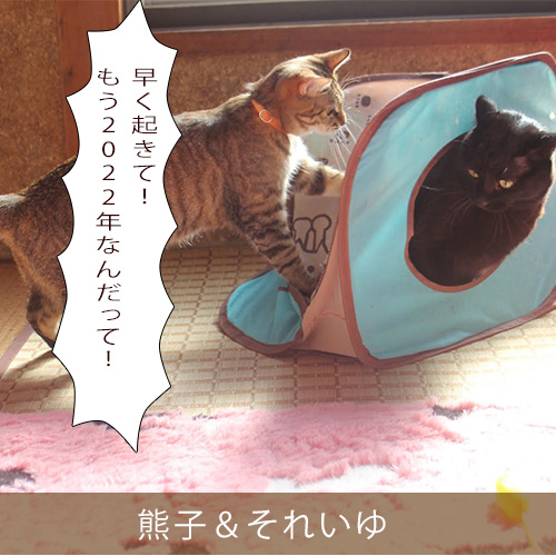20220110_touko.jpg
