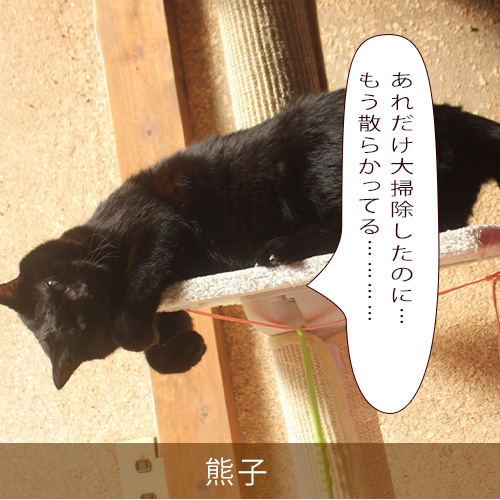 20220111_touko.jpg