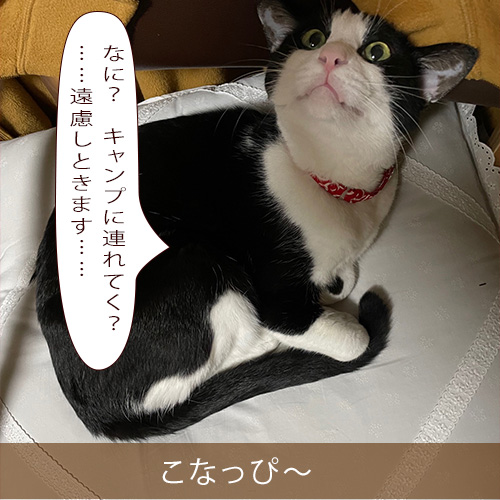 20220116_touko.jpg