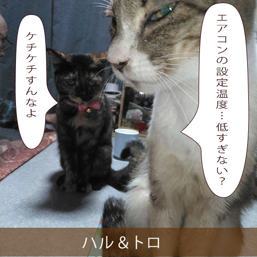 20220120_touko.jpg
