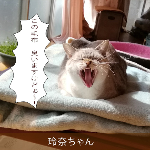 20220123_touko.jpg
