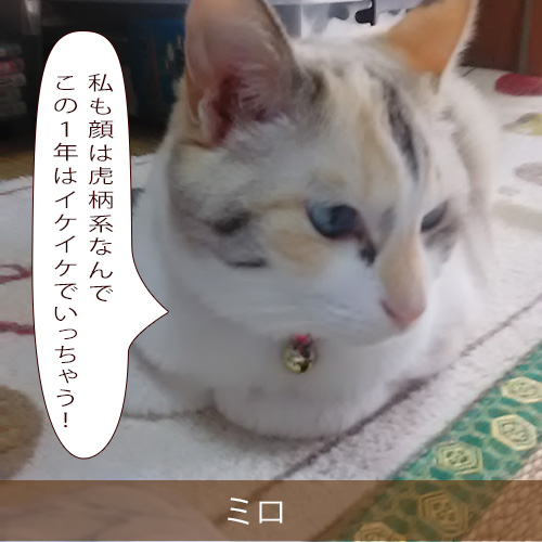 20220125_touko.jpg
