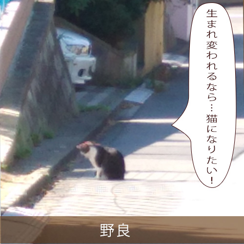 20220130_touko.jpg