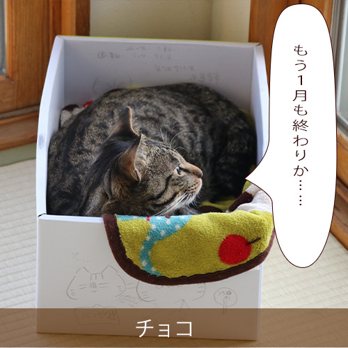 20220131_touko.jpg