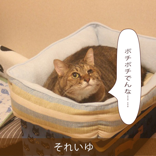 20220206_touko.jpg