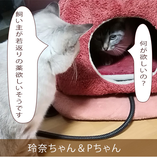 20220313_touko.jpg