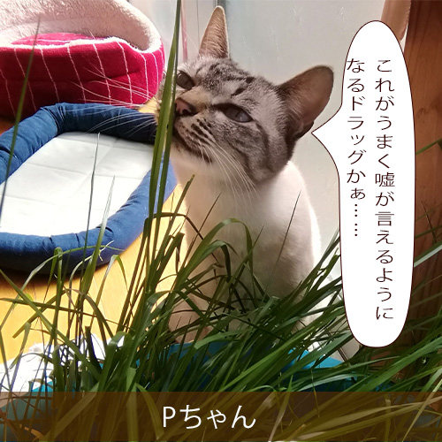 20220401_touko.jpg