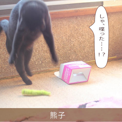 20220408_touko.jpg