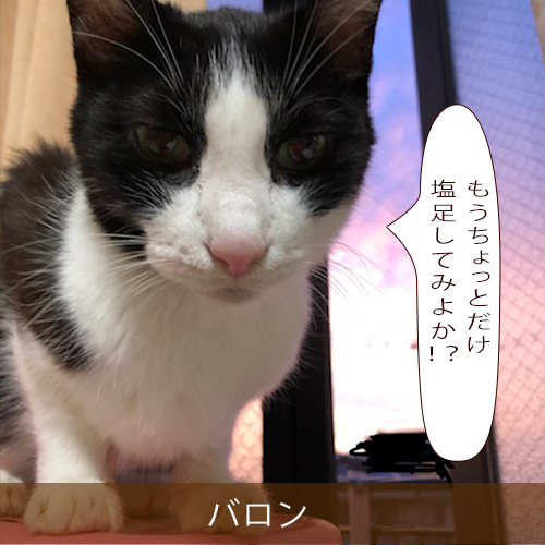 20220417_touko.jpg