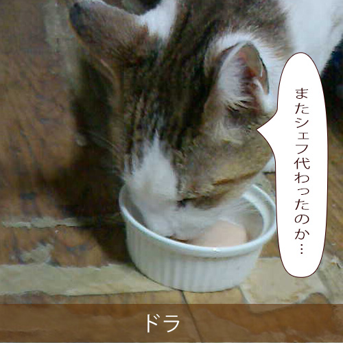 20220419_touko.jpg
