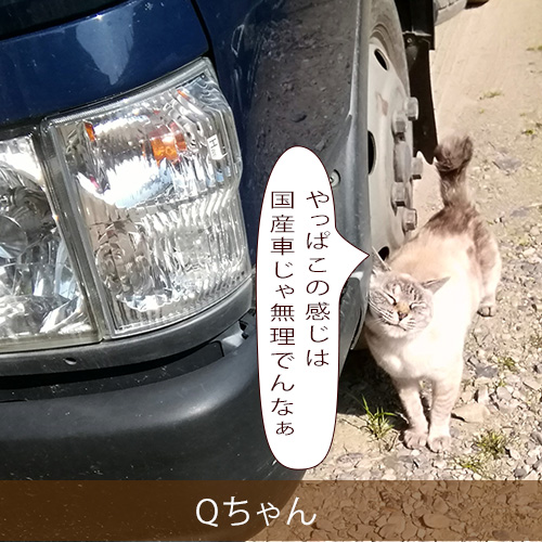 20220427_touko.jpg