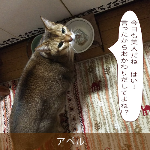 20220428_touko.jpg