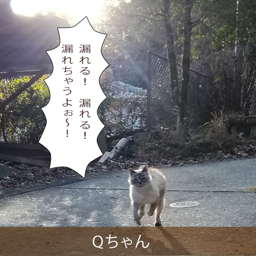 20220501_touko.jpg