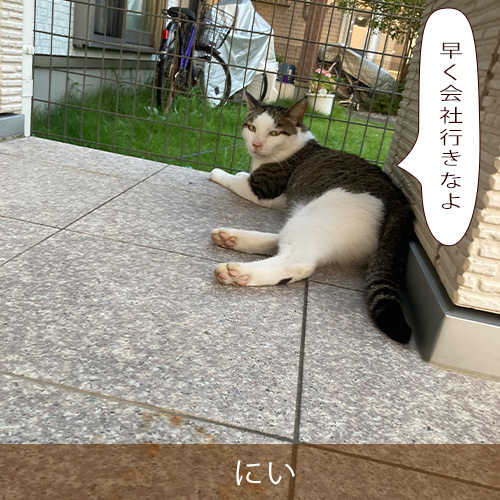 20221009.jpg