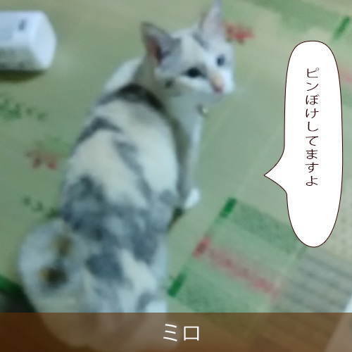 20230105.jpg