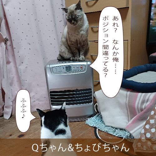 20230108.jpg