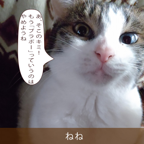 20230110.jpg
