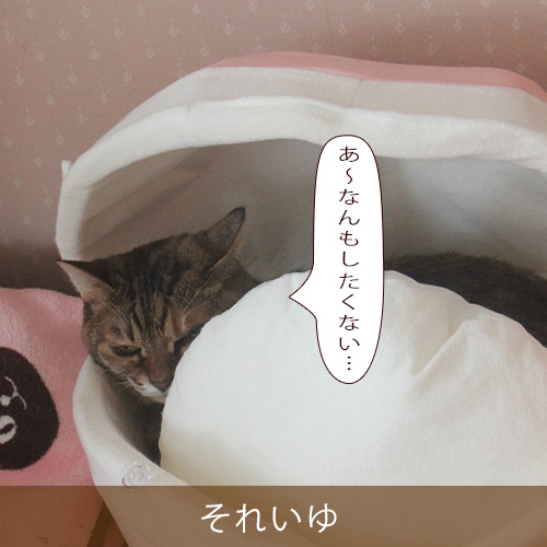 20230115.jpg