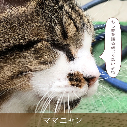 20230117.jpg
