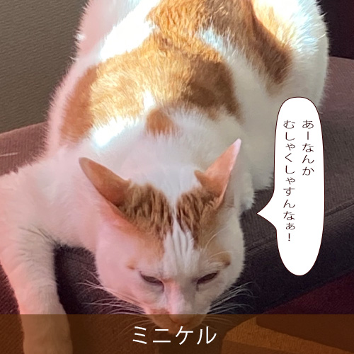 20230129.jpg