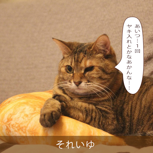 20230409.jpg