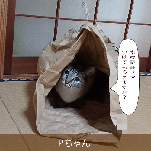 20230415.jpg