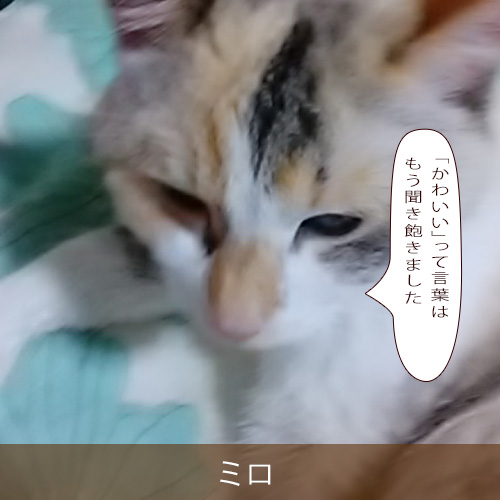 20230418.jpg