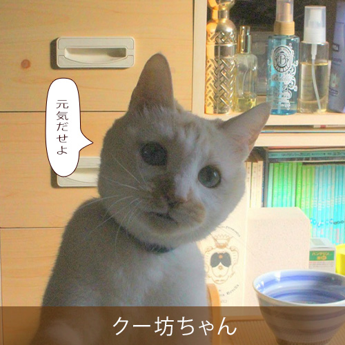 20230424.jpg