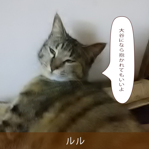 20230426.jpg