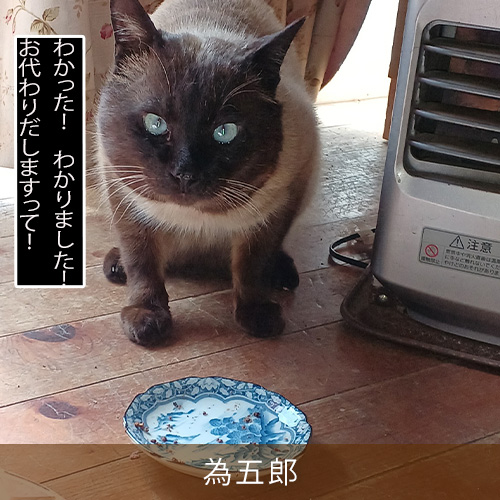 20230527.jpg