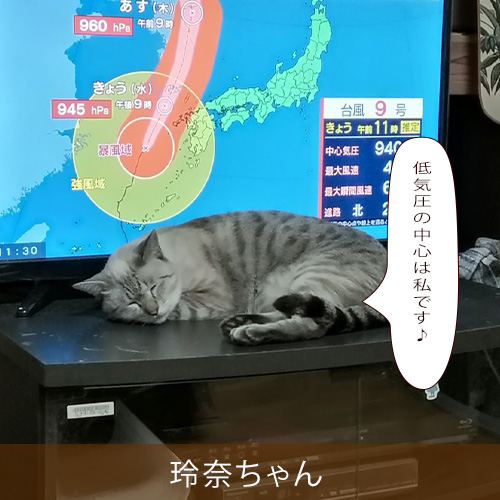 20230601.jpg