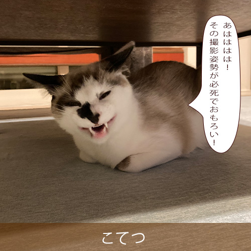 20230626.jpg