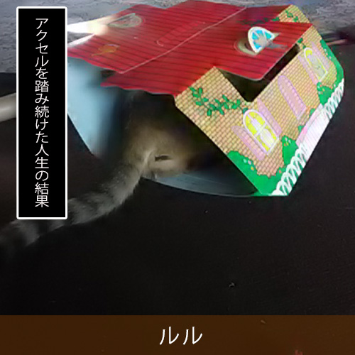 20231115.jpg