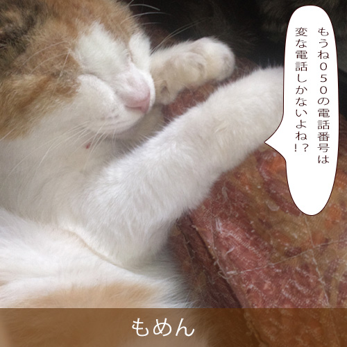 20231123.jpg