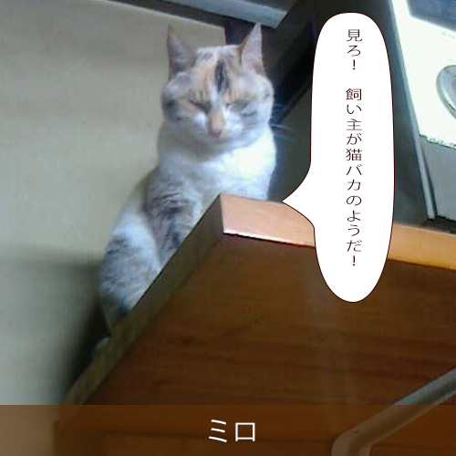 20240118.jpg
