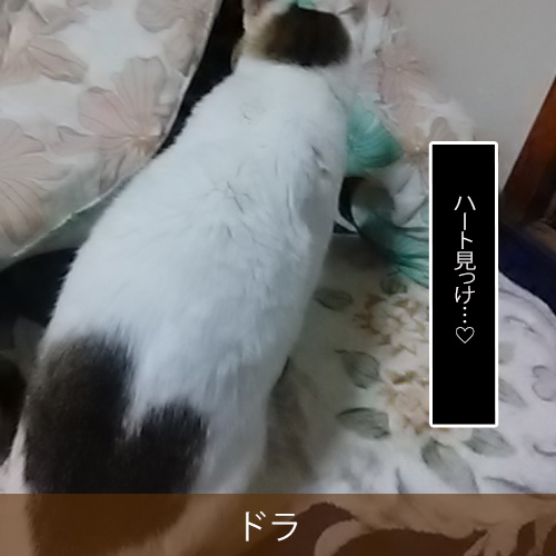 20240119.jpg