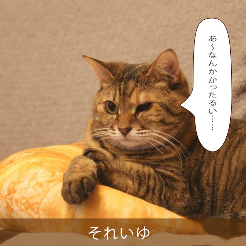 20240122.jpg