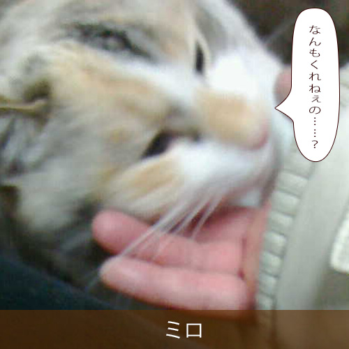 20240412.jpg