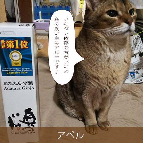 20240415.jpg