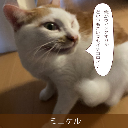 20250112.jpg