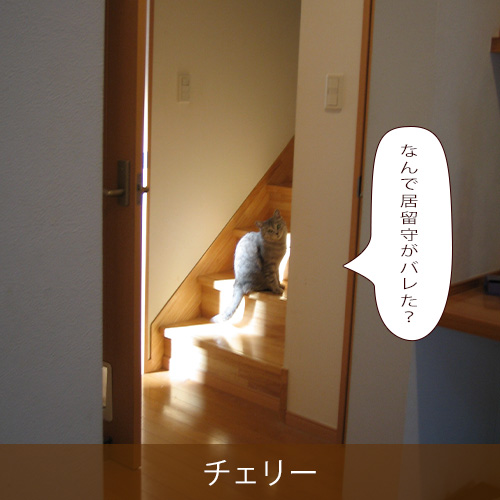 20250327.jpg