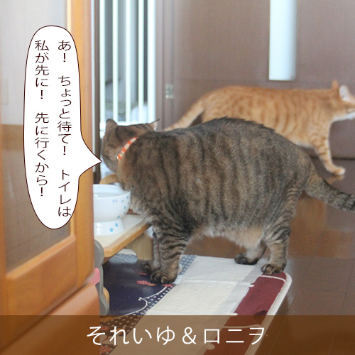 20251105.jpg