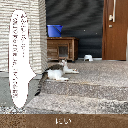 20251117.jpg